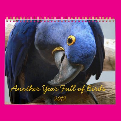 Another Year Full of Birds Calendar Zazzle_calendar Another Year Full of Birds Calendar Zazzle_calendar