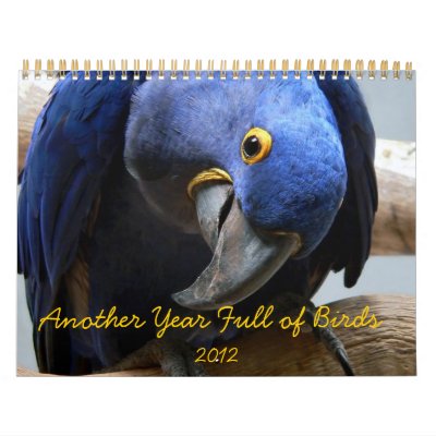 Another Year Full of Birds Calendar by TNMgraphics