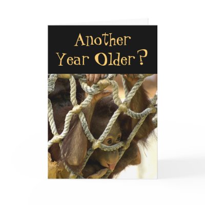Another Year Older Birthday Card by LivingLife