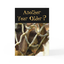 Another Year Older Birthday Card