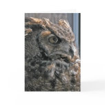 Another year wiser greeting cards