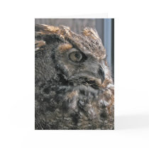 Another year wiser cards by KiraDott Another year wiser cards
