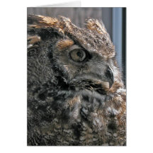 Another year wiser greeting cards