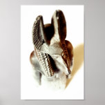 Anoubis Print