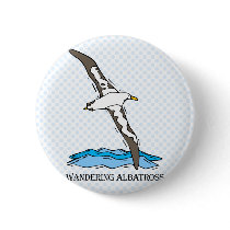Anrie Albatross Buttons