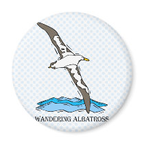Anrie Albatross Magnets