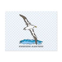 Anrie Albatross Postcard