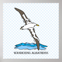 Anrie Albatross Posters
