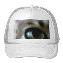 Ansel's Eye hats