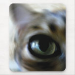 Ansel's Eye Mousepads