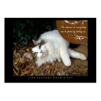 Answers Life Lessons From a Cat ACEO Art Cards Business Card