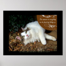 Answers Life Lessons From a Cat Fine Art Print