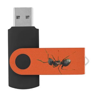 Ant Abstract Swivel USB 2.0 Flash Drive