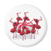 Ant and Candy Magnet