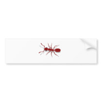 ant bumper stickers