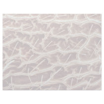 Ant - cheek personalized letterhead