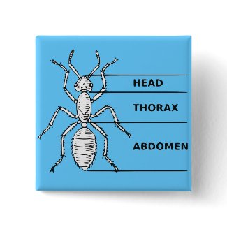 Ant Diagram button