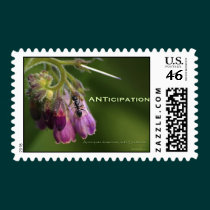 Ant & Flower Motivational Postage Stamp stamps