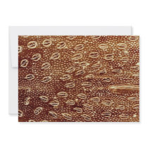 Ant - forehead personalized invite