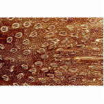 Ant - forehead photo cut outs
