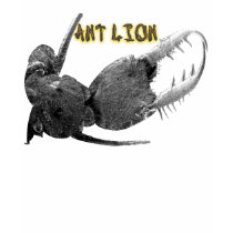 Ant Lion T-Shirt