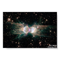 Ant Nebula posters