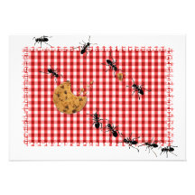 Ant Picnic Invitation
