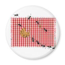 Ant Picnic Magnets