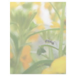 Ant Portrait With Siberian Wallflowers Personalized Letterhead