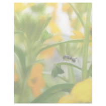 Ant Portrait With Siberian Wallflowers Personalized Letterhead