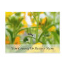 Ant Portrait With Siberian Wallflowers Post Card