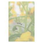Ant Portrait With Siberian Wallflowers Stationery Design