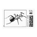 Ant Postage