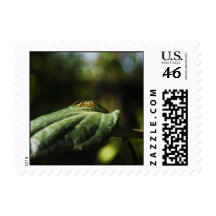 Ant Postage Stamps