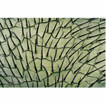 Ant - side photo sculpture