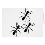 ant trail greeting cards