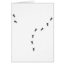 ant trail icon cards