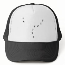 ant trail icon hat