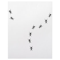 ant trail icon letterhead