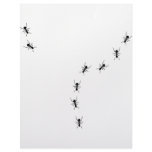 ant trail icon personalized letterhead
