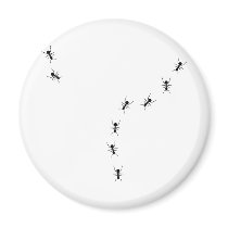 ant trail icon magnets