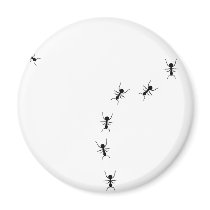 ant trail icon fridge magnet