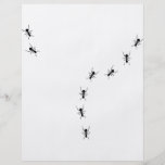 ant trail icon personalized flyer