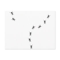 ant trail icon postcards