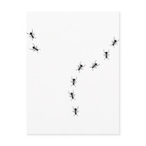 ant trail icon postcards