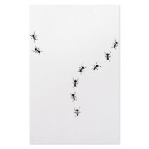 ant trail icon stationery