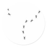 ant trail icon round stickers