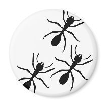 ant trail magnets