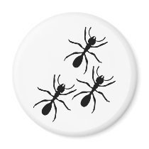 ant trail magnets