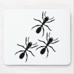 ant trail mouse pads